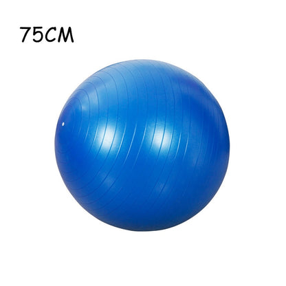 PVC Explosion Fitness Balls